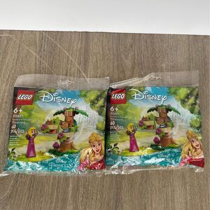 LEGO Disney Aurora's Forest Playground Bags (4)
